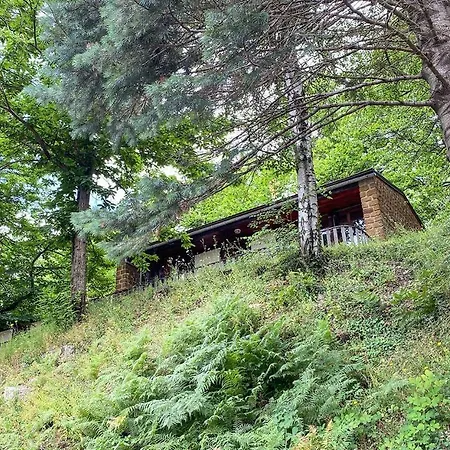 De 4* Villefort (Lozere)