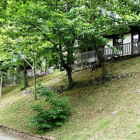 Camping De