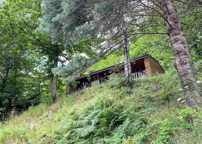 De 4* Villefort (Lozere)